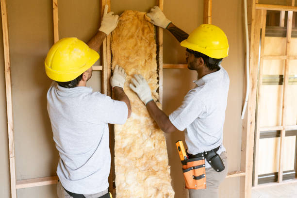 Insulation Air Sealing in Utica, SC